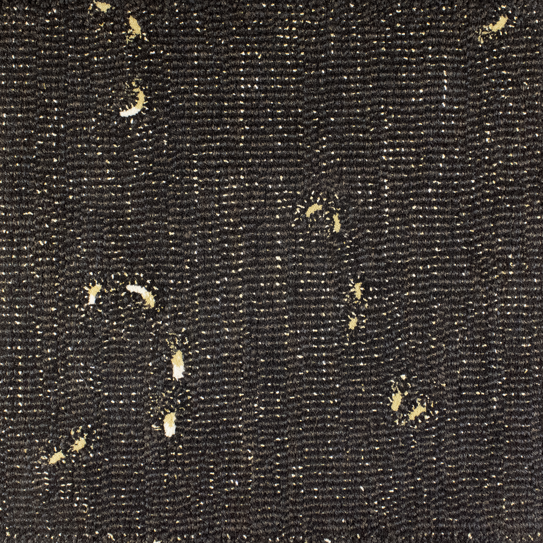 Neutrino Sample | 18" x 18"